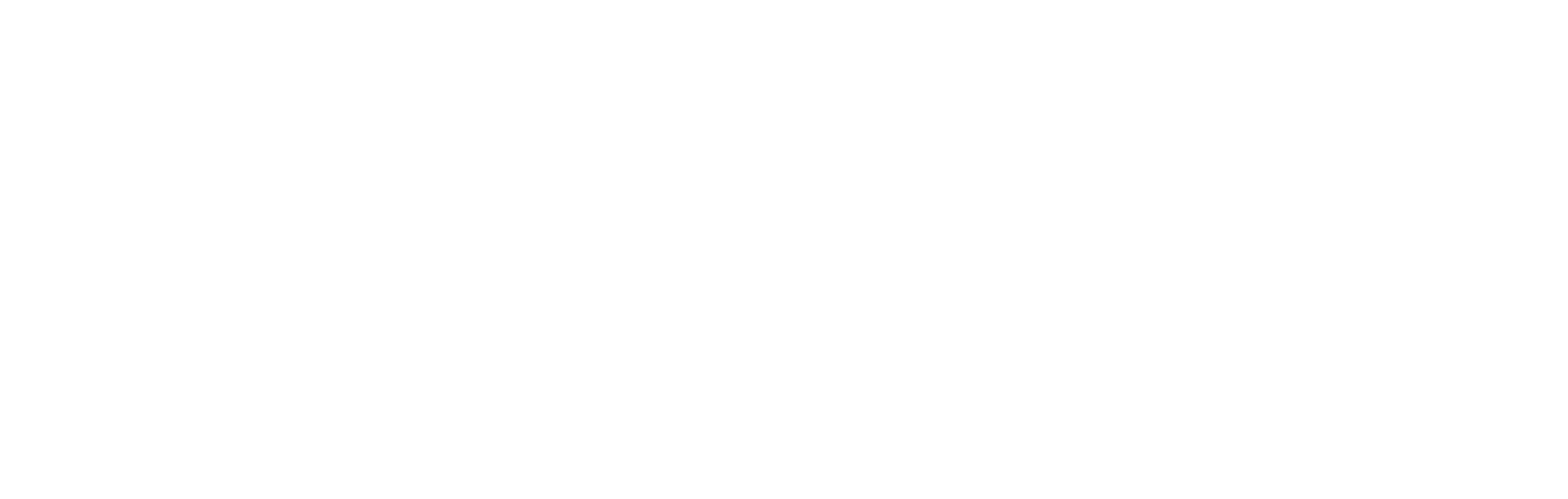 praxis comunicacion logo blanco